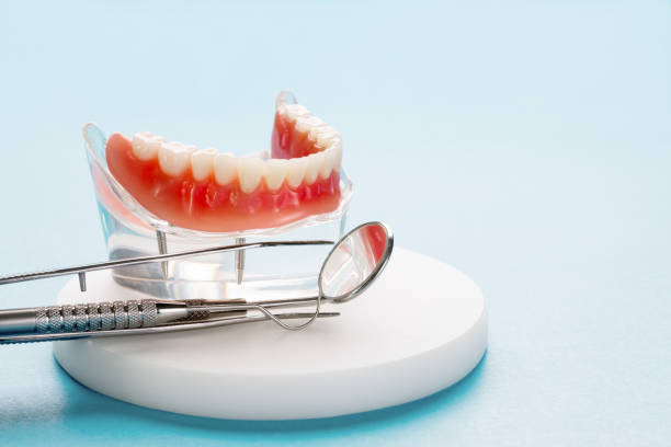 Best Dental Exams and Cleanings  in Magnolia, NJ